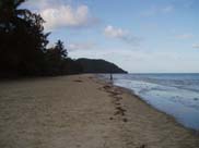 Cape Tribulation