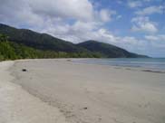 Cape Tribulation