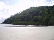 Cape Tribulation