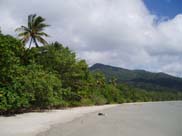 Cape Tribulation