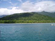 Cape Tribulation