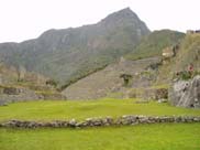 Macchu Picchu