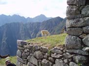 Macchu Picchu