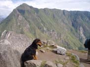 Macchu Picchu