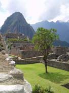 Macchu Picchu